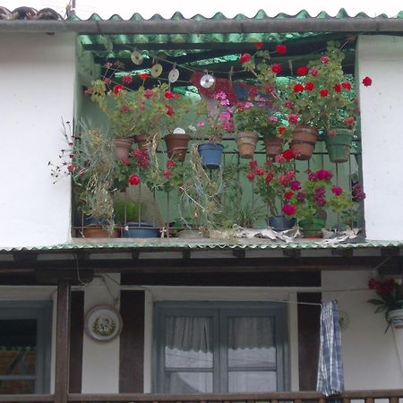 Hotel Rural Carlos I 가간타라올라 외부 사진
