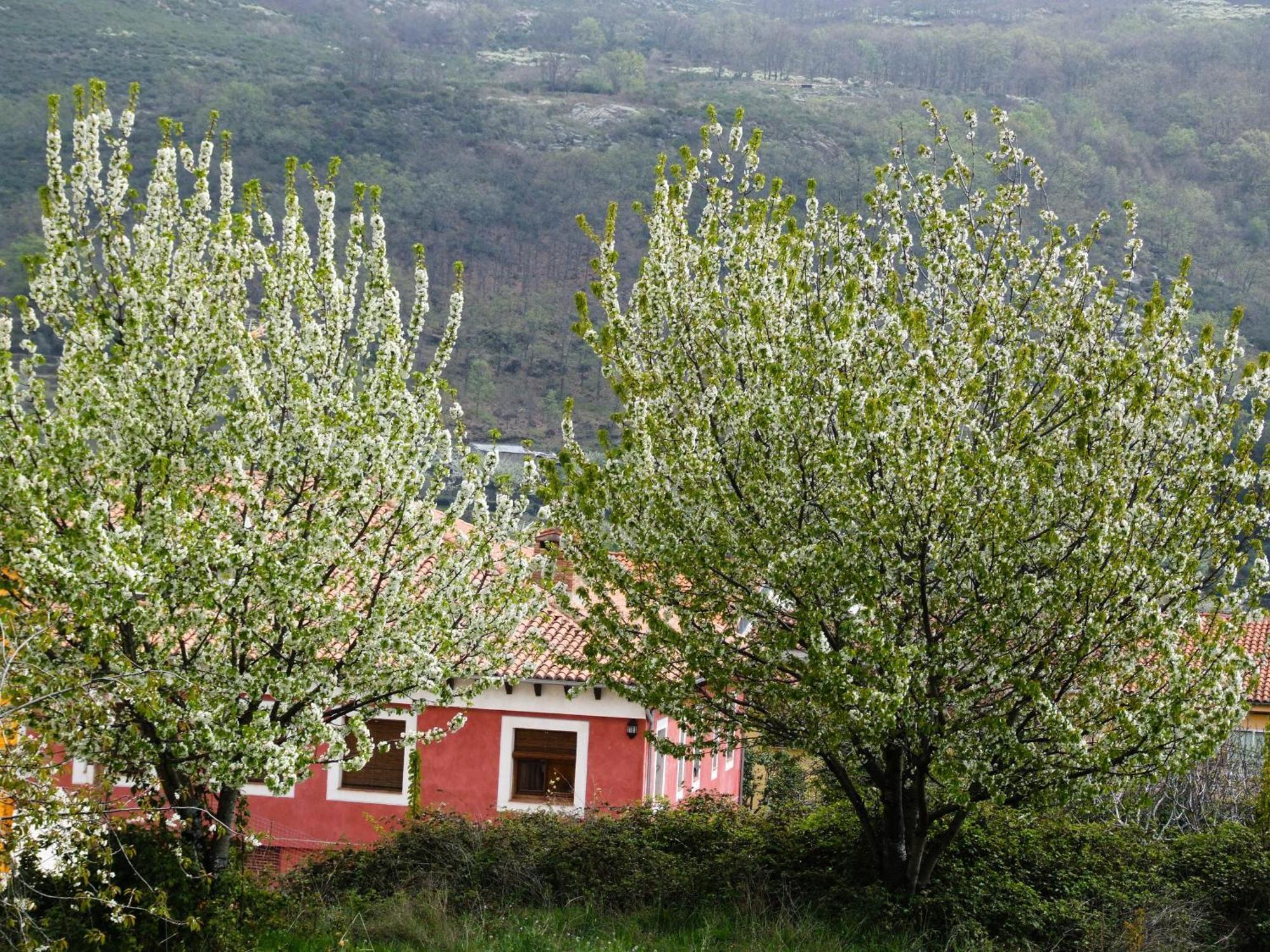 Hotel Rural Carlos I 가간타라올라 외부 사진